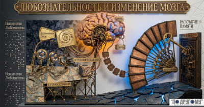 Любопытство меняет работу мозга и помогает лучше учиться