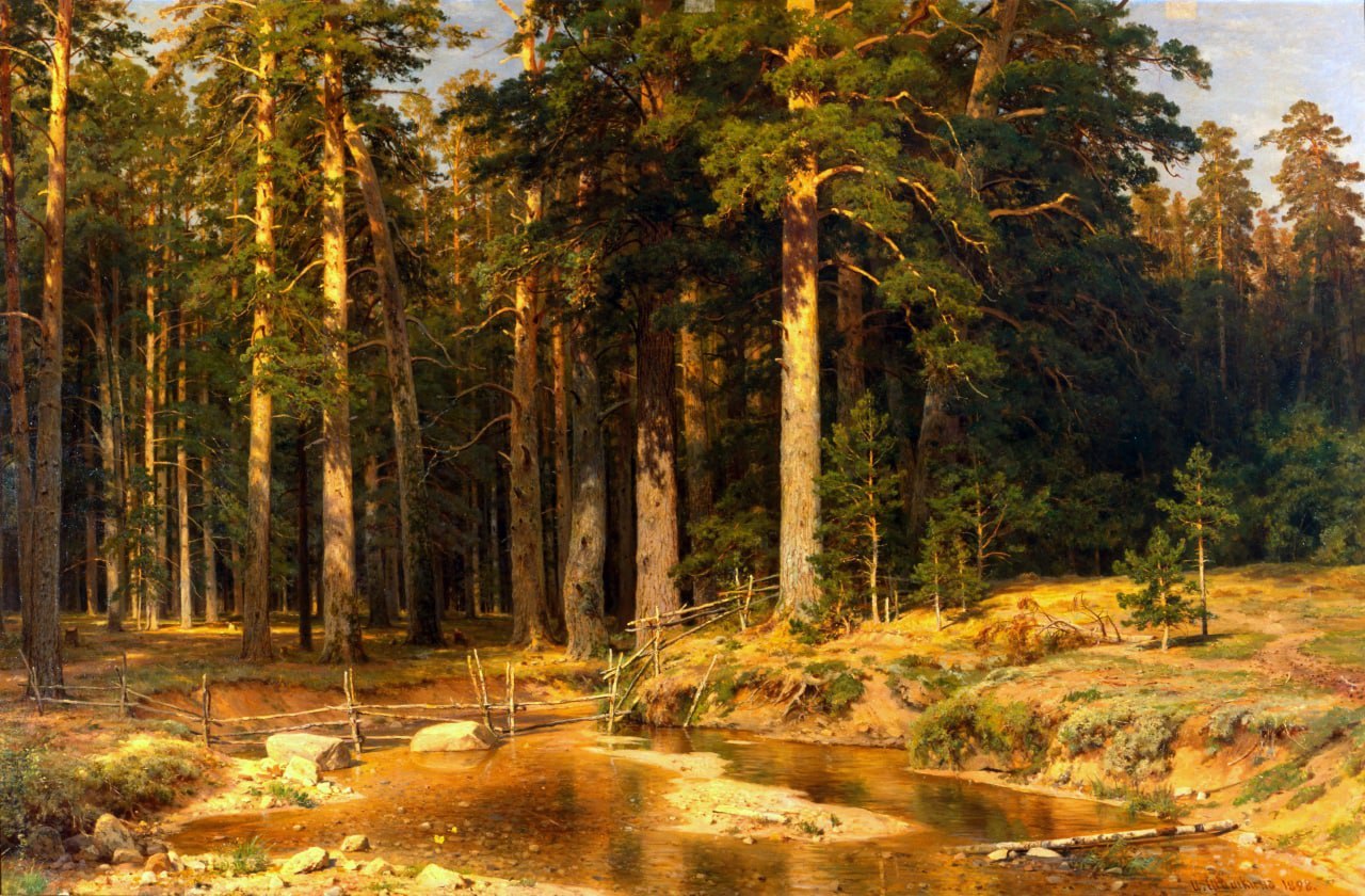 "Корабельная роща" 1898 г. Иван Иванович Шишкин Государственный Русский музей.